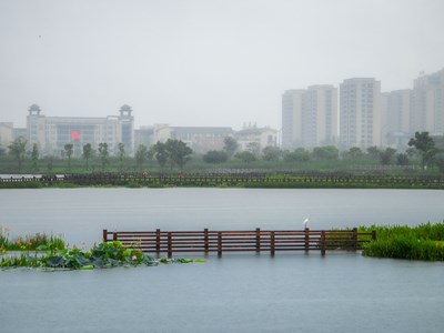 （最美一刻）+在雨中散步