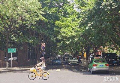 【七月风光】+盛夏下的青春