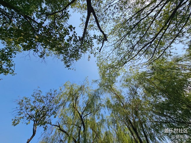 度酷暑，领星钻