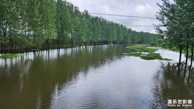 【七月风光】+ 

茅河美景