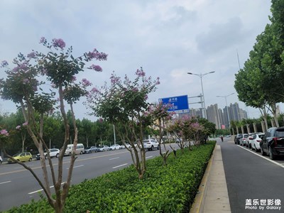 【七月风光】七月的随拍
