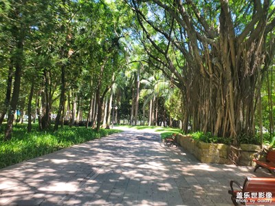 【最美一刻】深圳中心公园