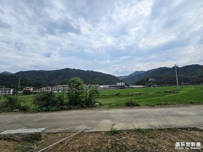 随手拍