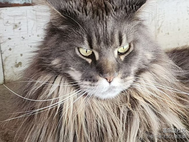 【旅行日记】博物馆里的猫咪