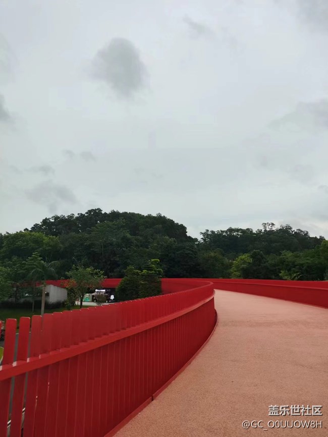【夏天的绿色】虹桥公园