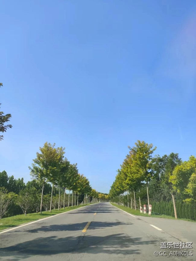 【夏天的绿色】公路片中的景