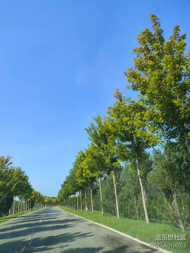 【夏天的绿色】公路片中的景