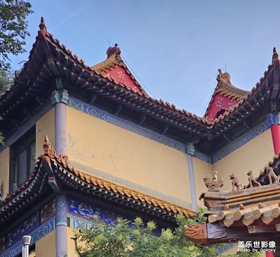随手拍