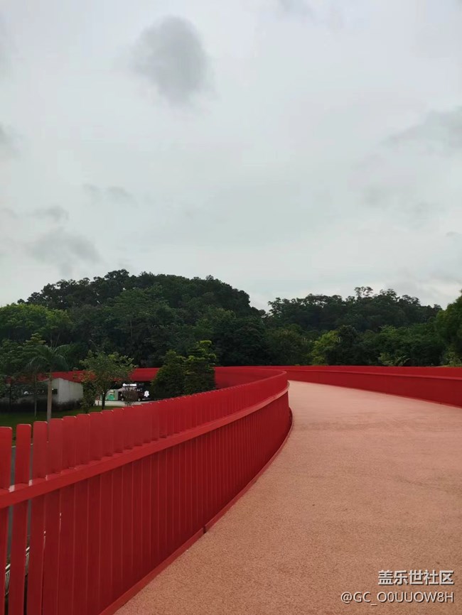 【夏天的绿色】虹桥公园