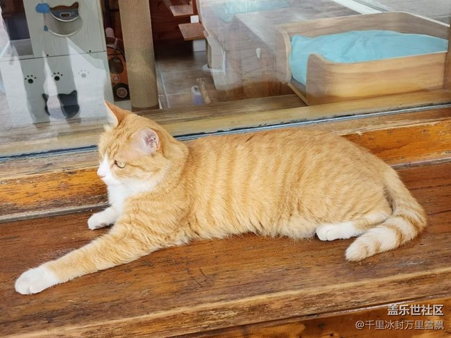 【旅行日记】博物馆里的猫咪