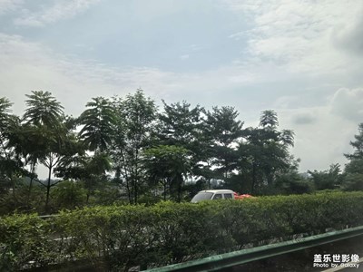 【最美一刻】+开心每一天