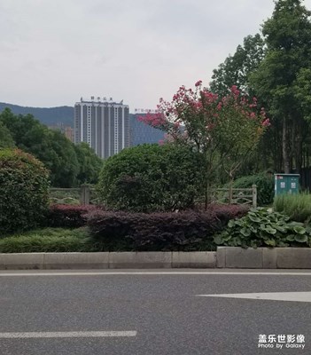 【最美一刻】城市风光