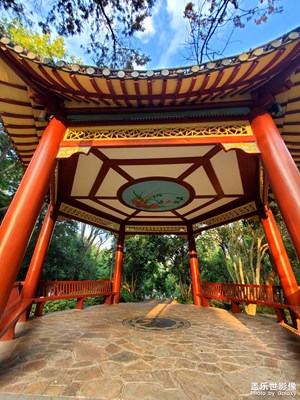 【边走边拍】+城市风景