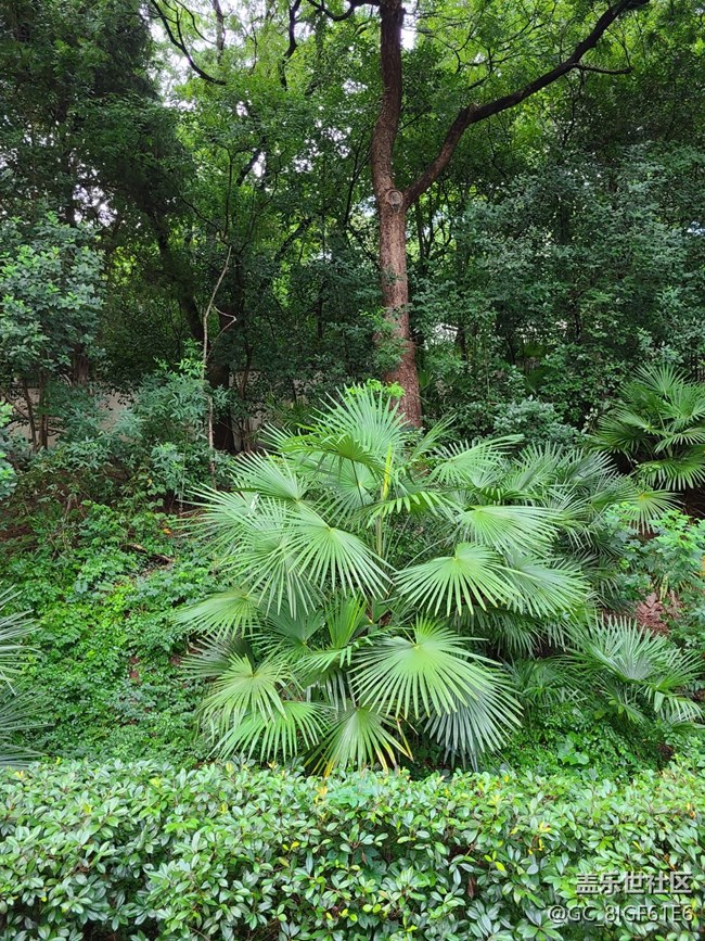 【逐溪寻野】山野随拍