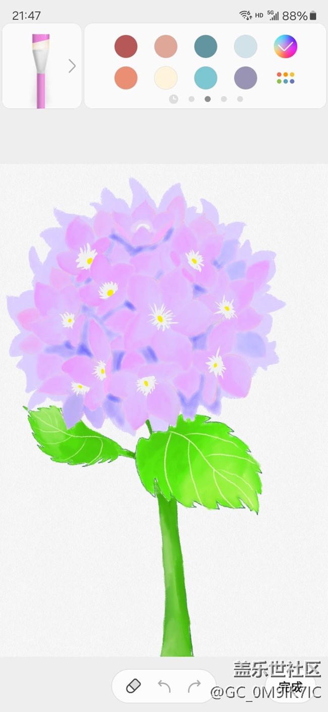 绣球花