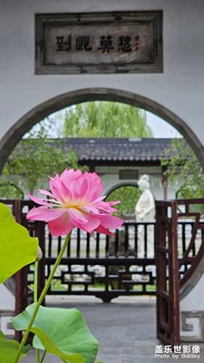 到此莫愁