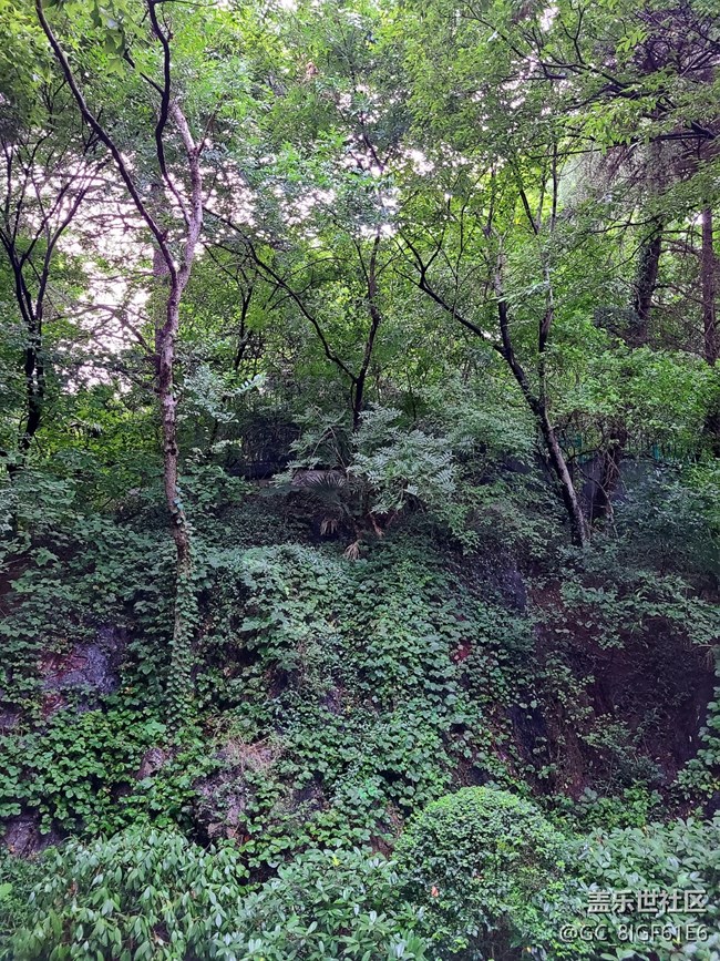 【逐溪寻野】山野随拍