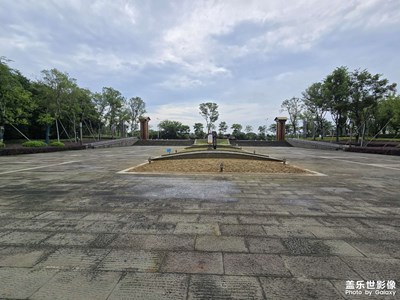 随手拍