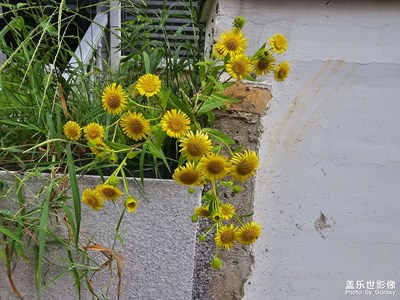 随手拍