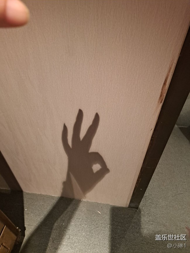 【光与影之舞】手影