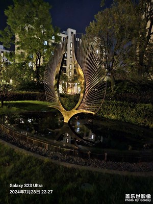 夜照
