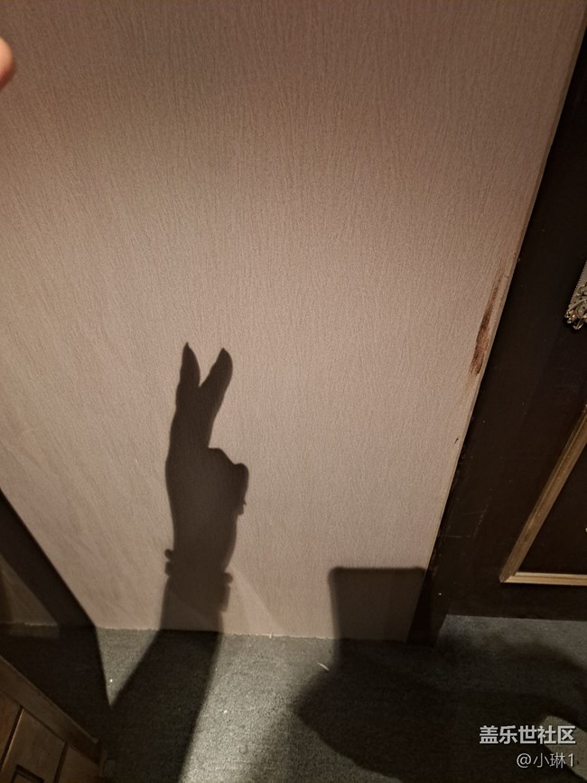 【光与影之舞】手影