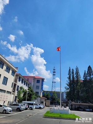 炎炎夏日