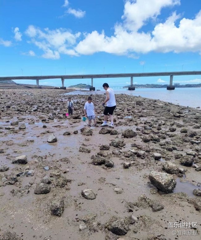 【半年足迹】赶海