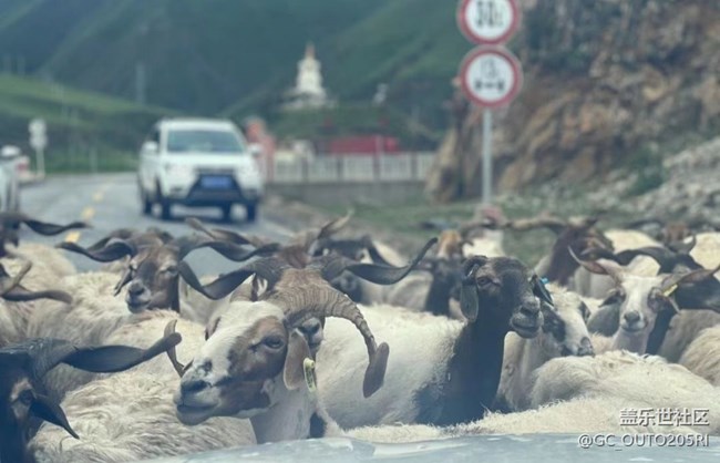 【半年足迹】美丽中国