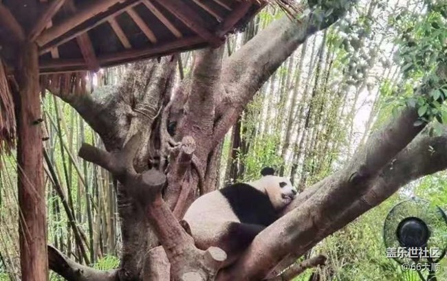 【半年足迹】长隆