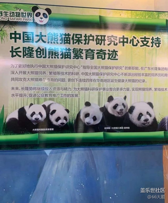 【半年足迹】长隆