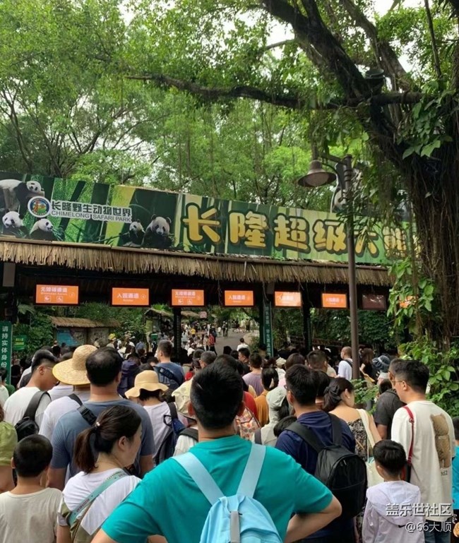 【半年足迹】长隆