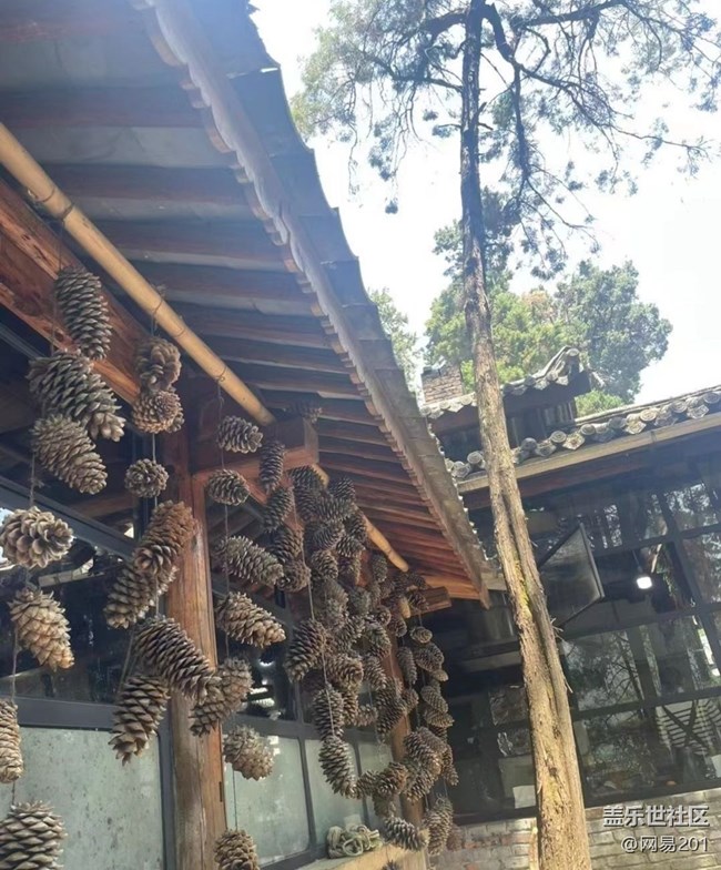 【半年足迹】爬仓山