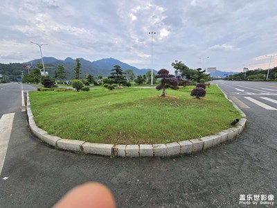 随手拍