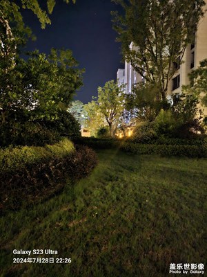 夜拍