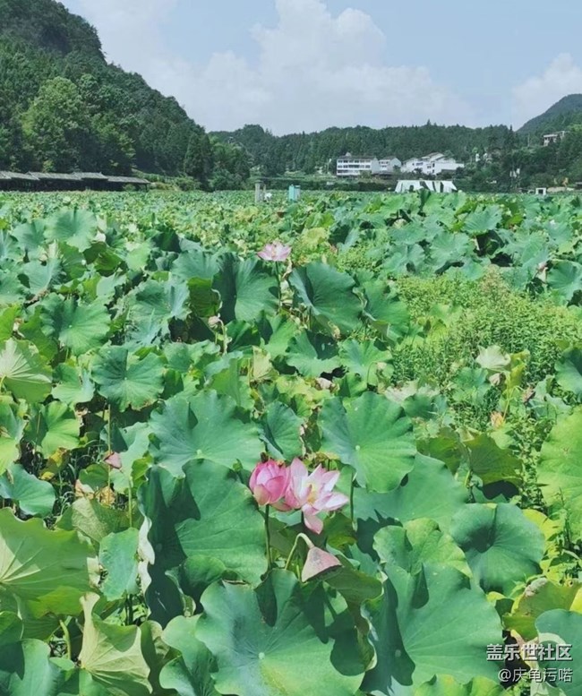 【半年足迹】家乡风景