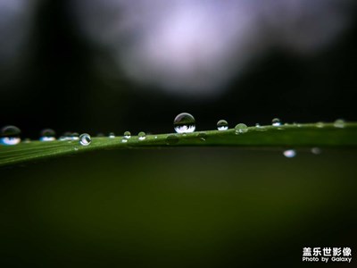 【我的假期故事】+亲近大自然
