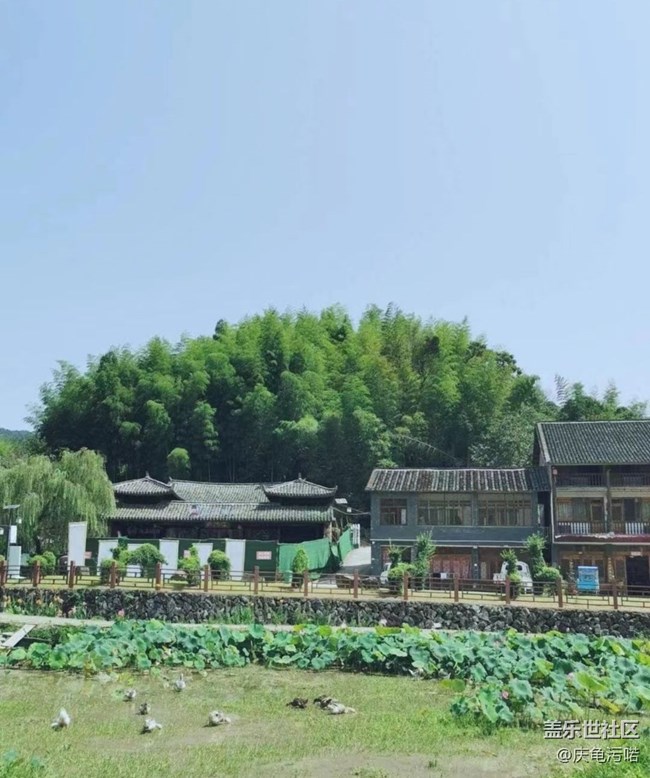 【半年足迹】家乡风景