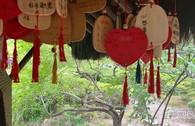 【半年足迹】绍兴沈园