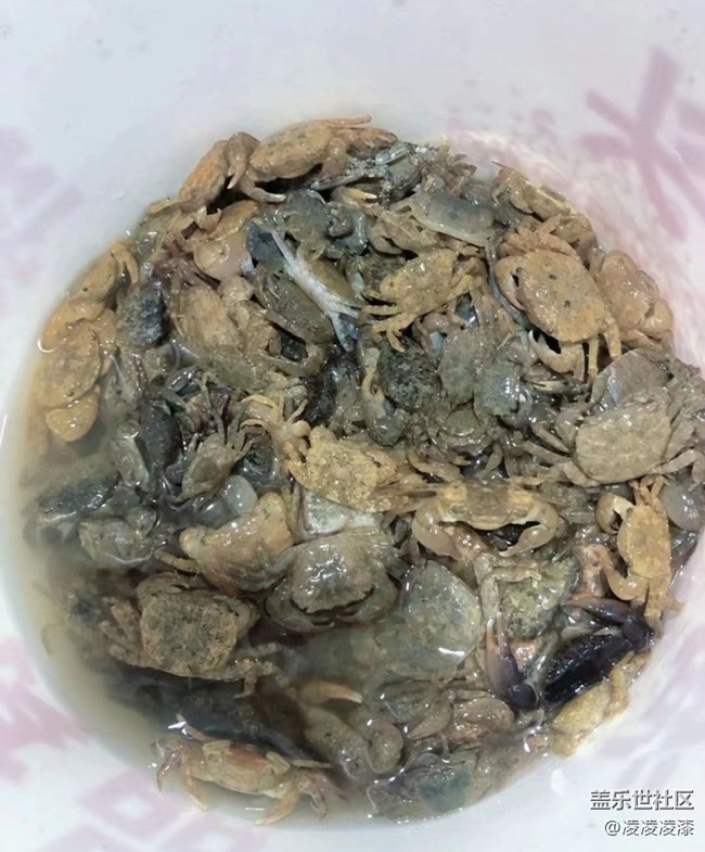 【半年足迹】捉螃蟹