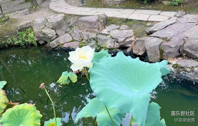 【半年足迹】绍兴沈园