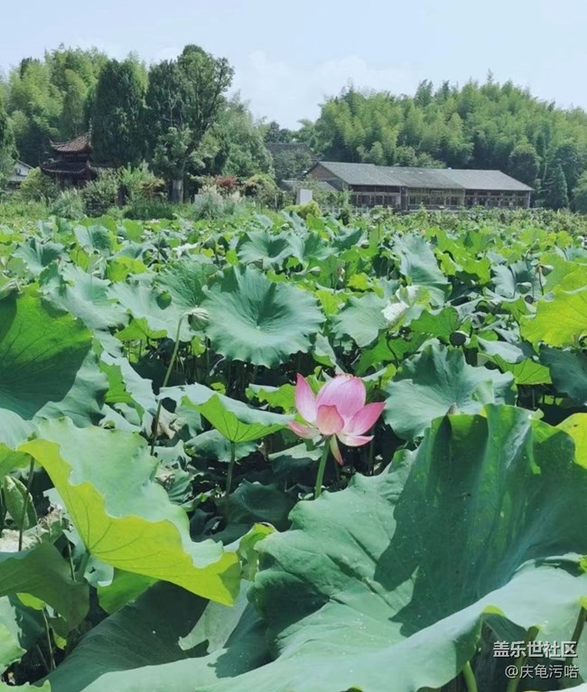 【半年足迹】家乡风景