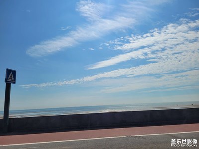 炎炎夏日随手拍
