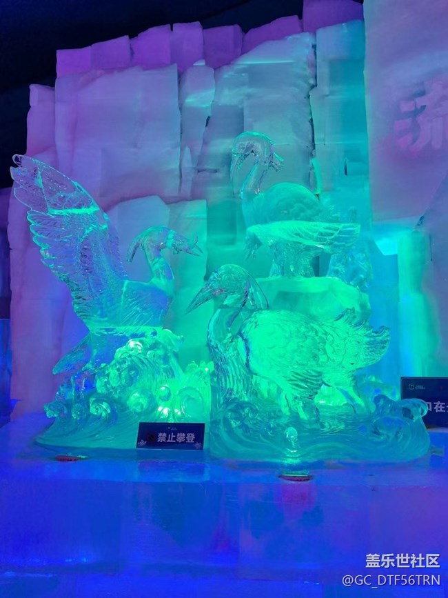 【半年足迹】冰雪大世界