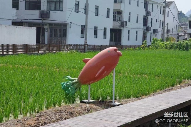 【半年足迹】田间地头