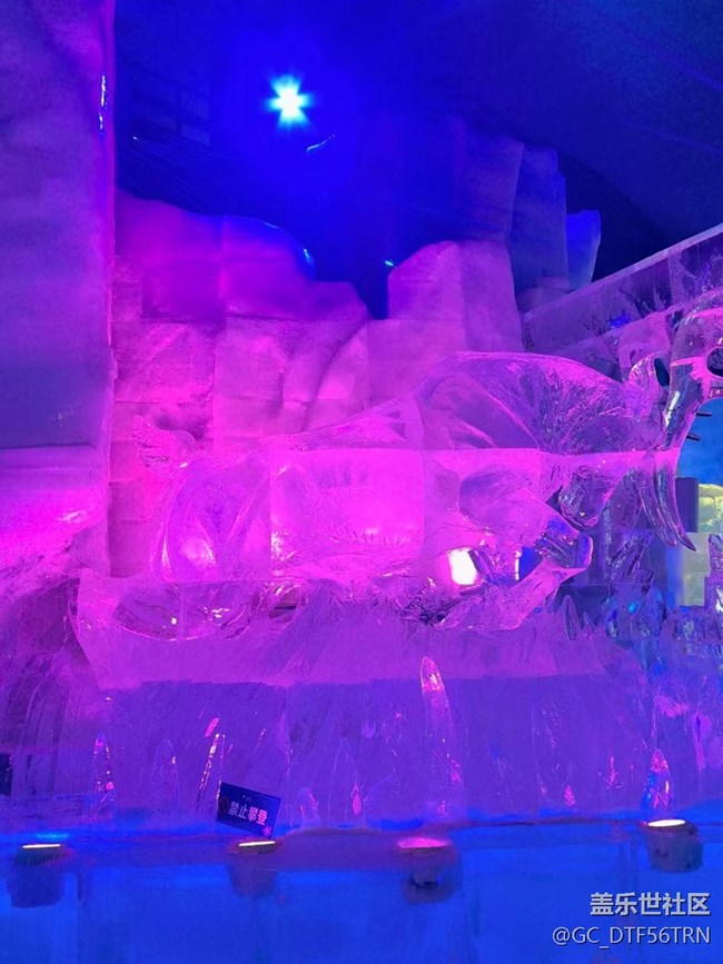 【半年足迹】冰雪大世界