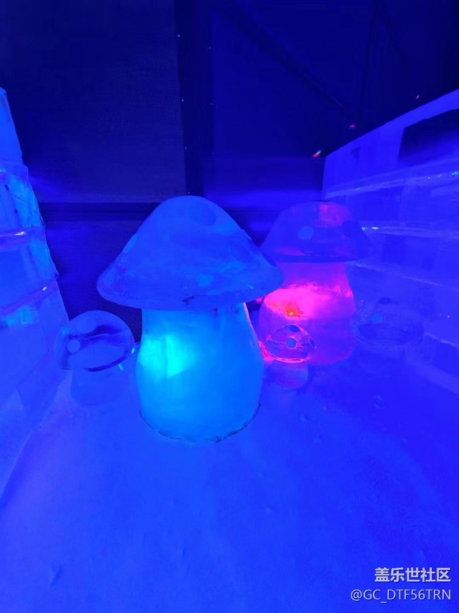 【半年足迹】冰雪大世界