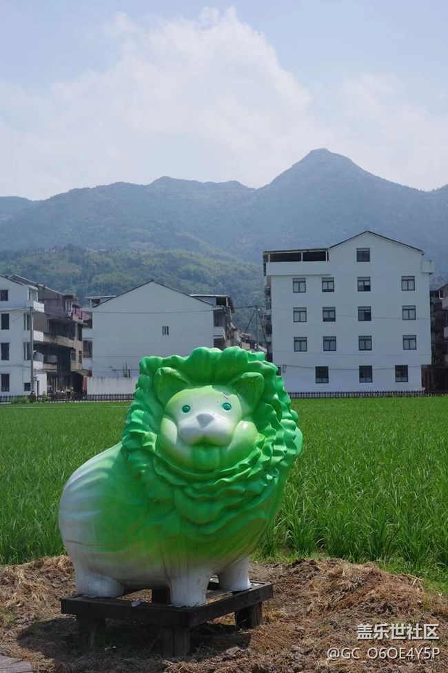 【半年足迹】田间地头