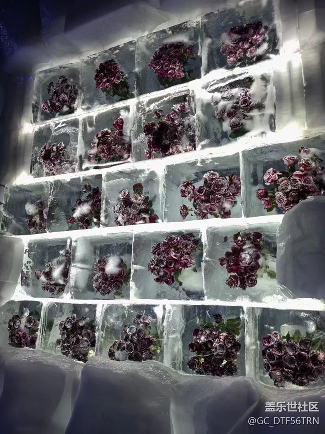 【半年足迹】冰雪大世界