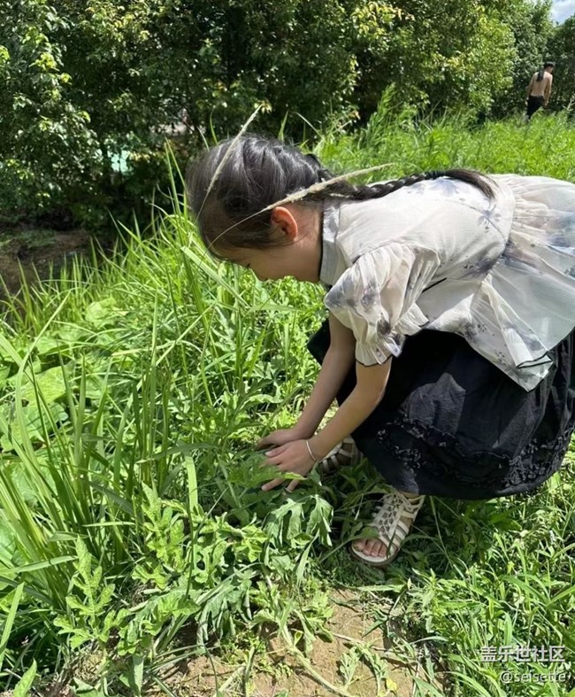 【半年足迹】去摘瓜